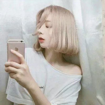 《国王与小鸟》海报